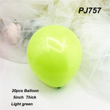 Giant Dinosaur Party Balloons and Jungle Theme Party Decorations